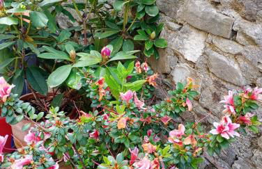 Casetta nel Podere di Massi - Foto 59