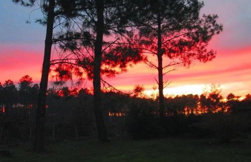 Maison landaise moderne avec piscine chauffée et spa - Foto 25