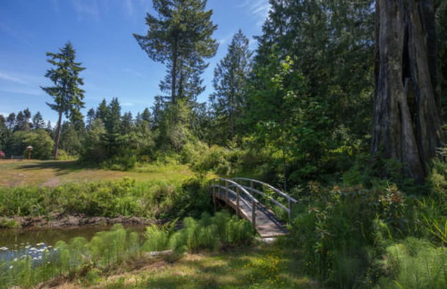 A Hidden Haven & Water Garden Cottages - Foto 46