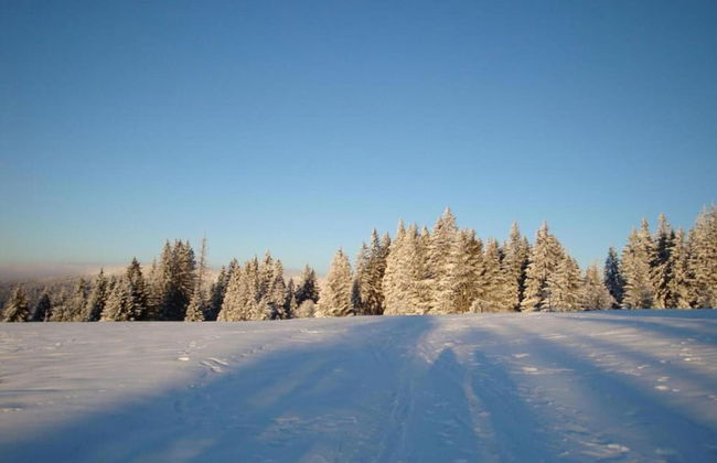 Pretty Holiday Home in Schöfweg ot Langfurth near Ski Slope - Foto 28