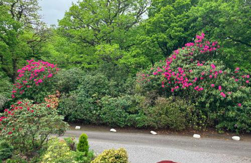 Acorn Cottage & Little Oaks - Photo 24