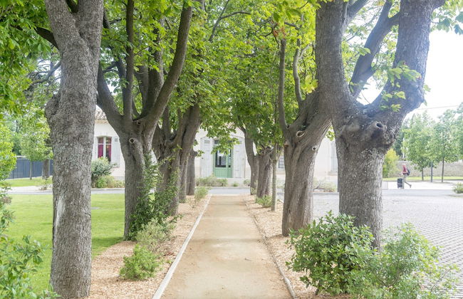 Cerise Carcassonne Sud - Photo 80