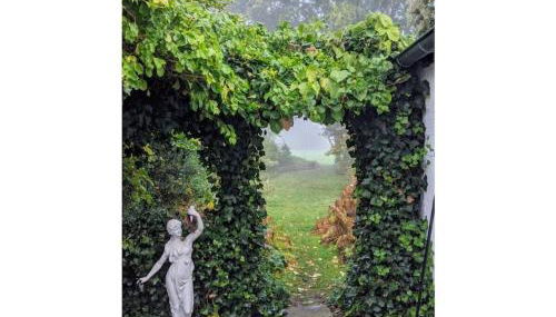 Holiday home Cottage am Rhin - Foto 5, Other