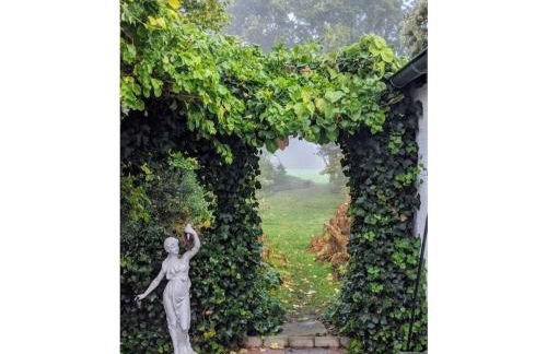 Holiday home Cottage am Rhin - Foto 5