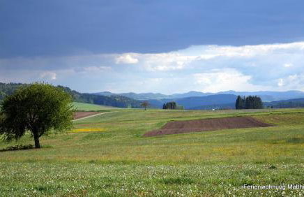 Matthis-Hof - Foto 26