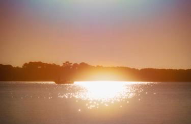 Maison paisible avec jardin - proche du lac de Sanguinet - Foto 22