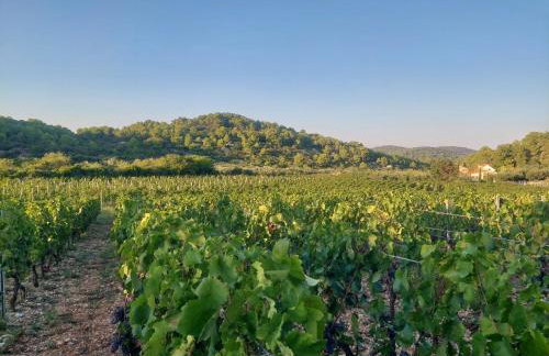 Brisa Vis Studio - Photo 30