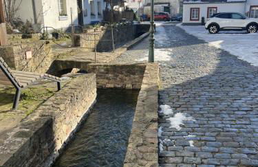 Am Hirtenturm, anno 1397, auf der Quelle der Ahr - Photo 34