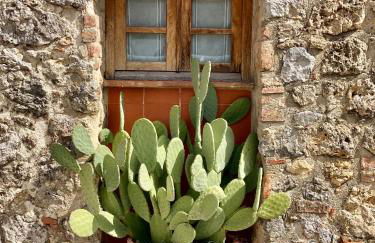 Monteriggioni Castello - Foto 70