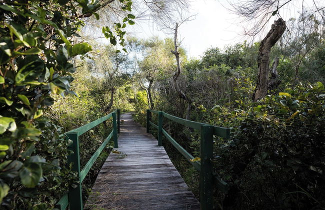 Reflections Corindi Beach - Holiday Park - Foto 32