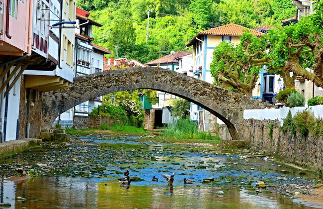 Casa Rural Arboliz - Photo 35