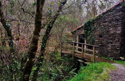 Apartamento Visita Costa da Morte - Foto 11