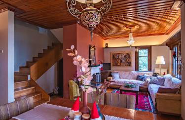 KP113 All Season Villa in Makrinitsa - Foto 17