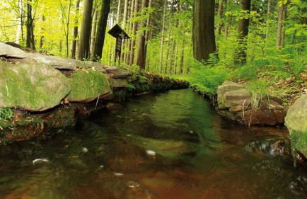BERG WELT im Erzgebirge - Photo 65