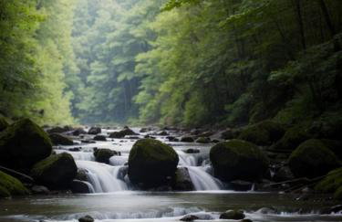 CampRV Lookout Studio Apartment Peaceful Scenic Escape - Foto 15