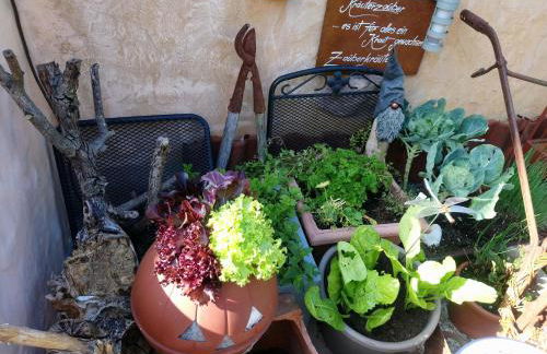 Ferienhaus Nr 2 - Das kleine Haus im Haus - Foto 27