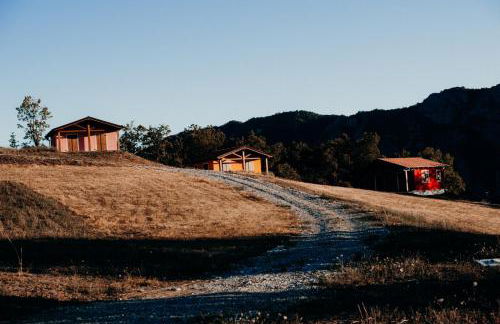 Azienda Agricola Saint Hubert - Foto 91