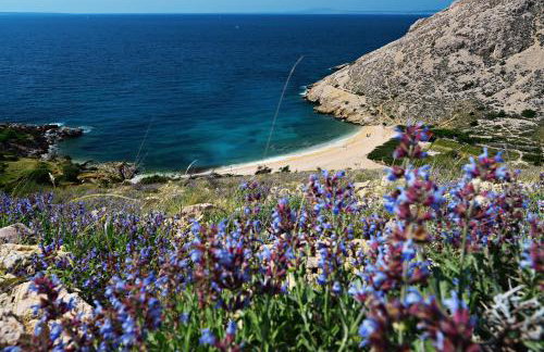 Villa Mar - 50m To The Beach - Foto 17