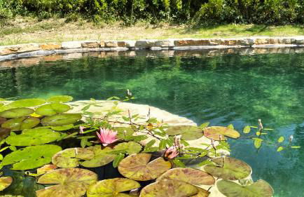 AGRITURISMO TERRAPIA - Foto 53