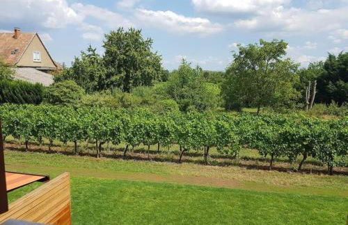 Clos des Vignes - Foto 20