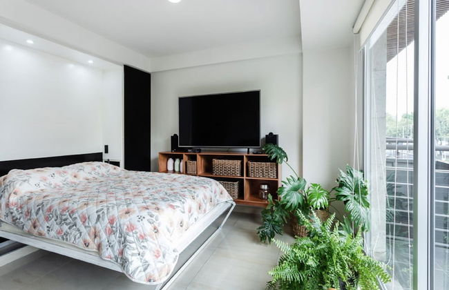 Destination Condesa @Alvaro Obregon Views 2 - Photo 3