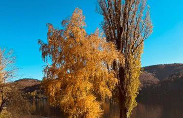 Tabacówka - Foto 27