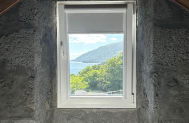 Cá Por Casa Pico-Criptoméria - Photo 18