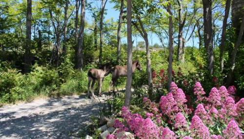 Le Mas de Fournery - Photo 4