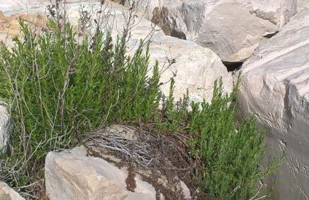 Casa al Porticciolo Campomarino Lido vicino Termoli - Photo 14