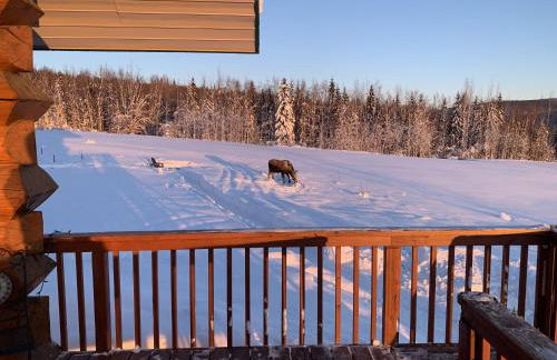 Secluded Log Cabin, 30 min from Chena Hot Springs - Foto 13