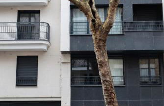 Sérénité totale : appartement ensoleillé - Foto 31