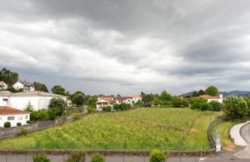 Sun House - Alojamento Local - Ponte de Lima - Photo 78