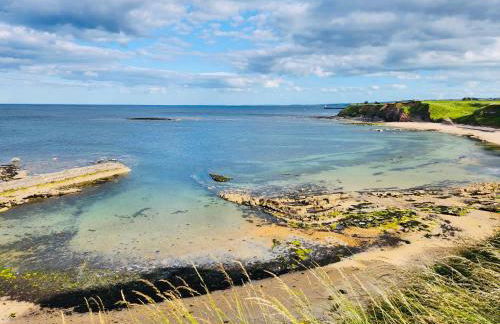 Haven Berwick - Foto 12