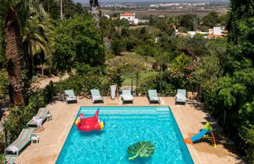 Fazenda do Sul - Foto 6