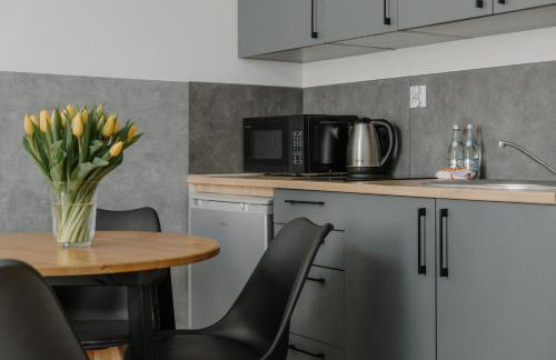 Sleep and Fly with parking, lotnisko, self check in 24-7 - Wrocław - Fair Rentals - Foto 4