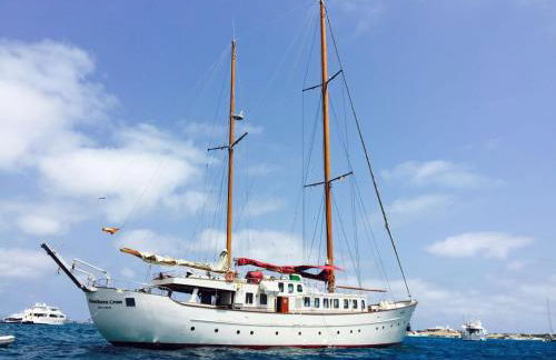 Southern Cross - Foto 15