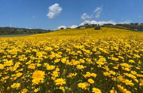 San Leonardo Country House - Foto 10