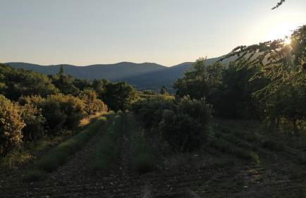 La Maison du Verger, Provence and quiet countryside - Photo 25