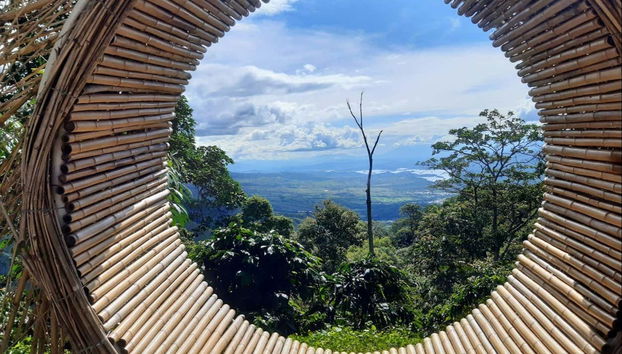 Osservando panorami mozzafiato