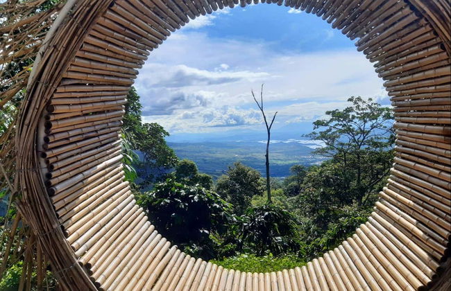 La Mano del Gigante Viewpoint Day Trip - Photo 2