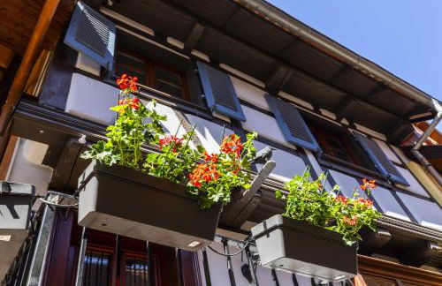 Ide'Alsace - Foto 23