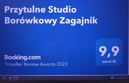 Przytulne Studio Borówkowy Zagajnik - Foto 4