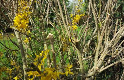 FeWo Machedanz zentrumsnah & ruhig Timmendorfer Strand - Foto 33