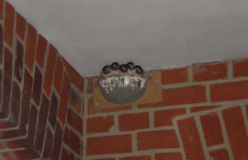 Apartment Rodd by Interhome - Foto 14