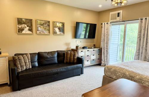 Studio Apt with stunning Mountain Views - Foto 7