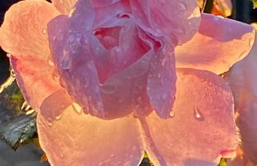 Lovrini Dvori - Photo 21