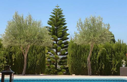 Detached holiday house, 2 bedrooms, private garden, pool - Photo 26