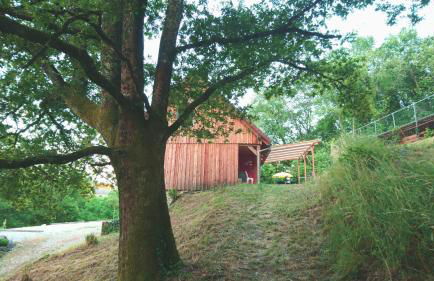Het gevoel van vrijheid tussen bos en dorp - Foto 19