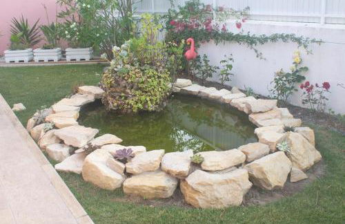 Casa dos Malmequeres - Photo 5