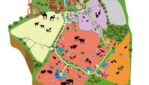 Parc animalier des Clautres - Maison Roulottes Tente - Foto 4